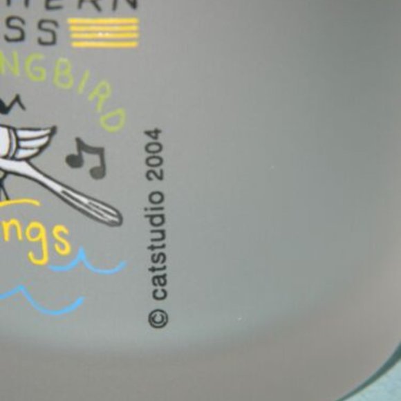 Catstudio Mississippi Frosted Glass Tumbler Drinking Cup 2004 - Picture 3 of 4